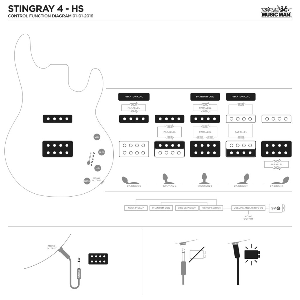 Picture of: StingRay  Basses  Ernie Ball Music Man